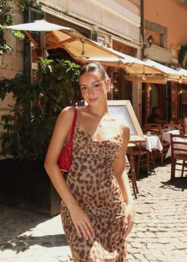 Zara Leopard Print Dress