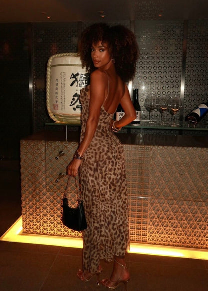 Zara Leopard Print Dress